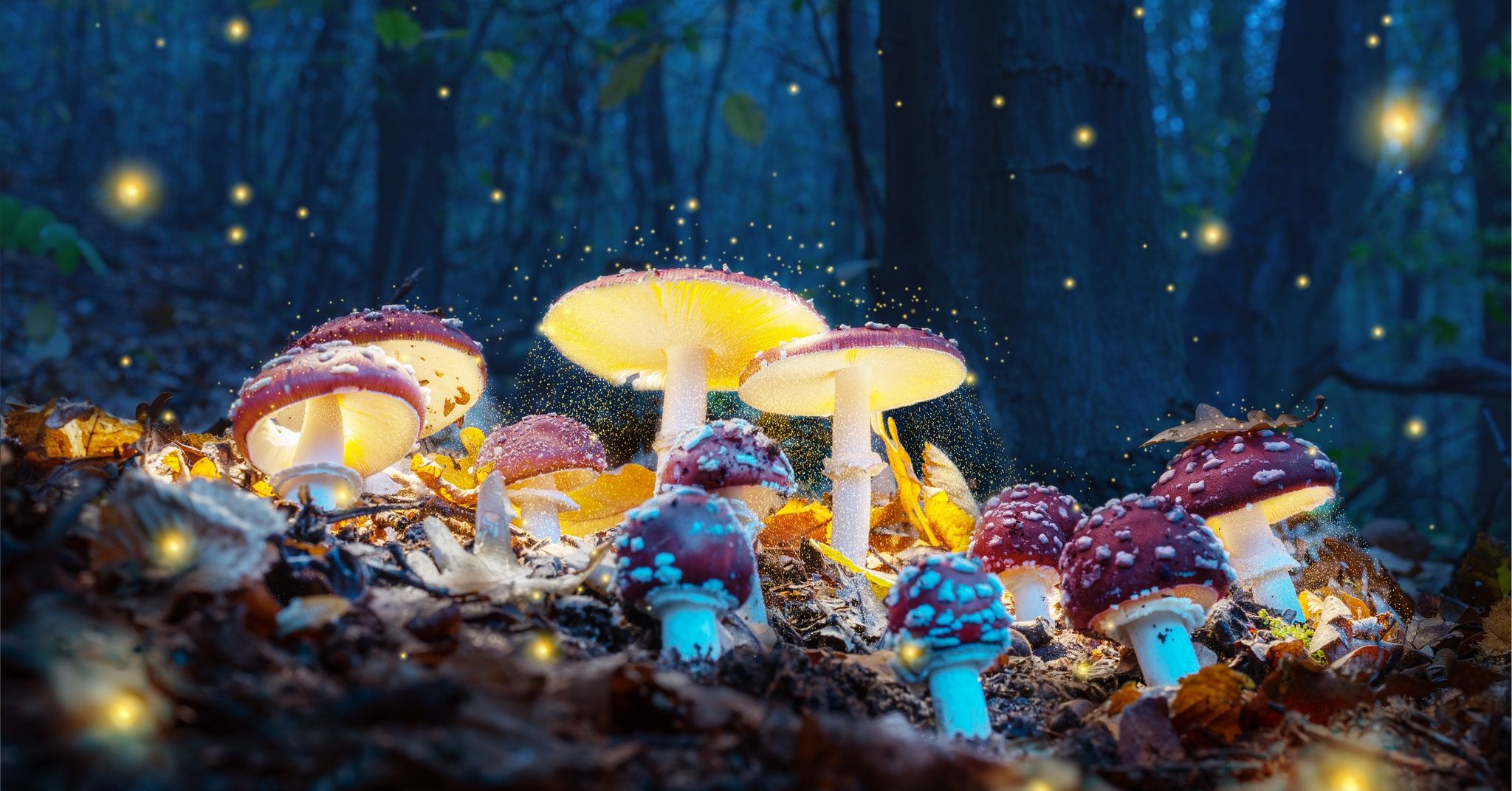 Mystical mushroom background